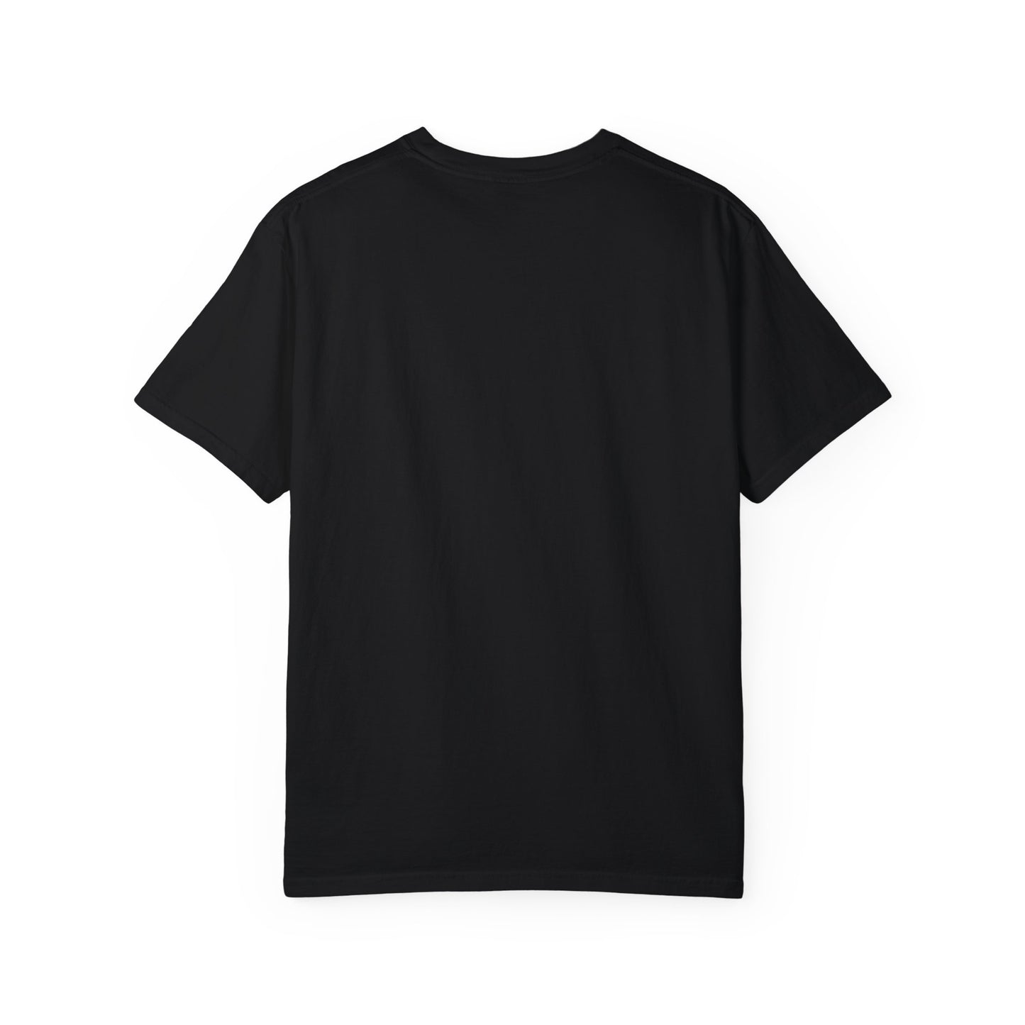 LBGT Pride, Anti Trump 2024 T-Shirt