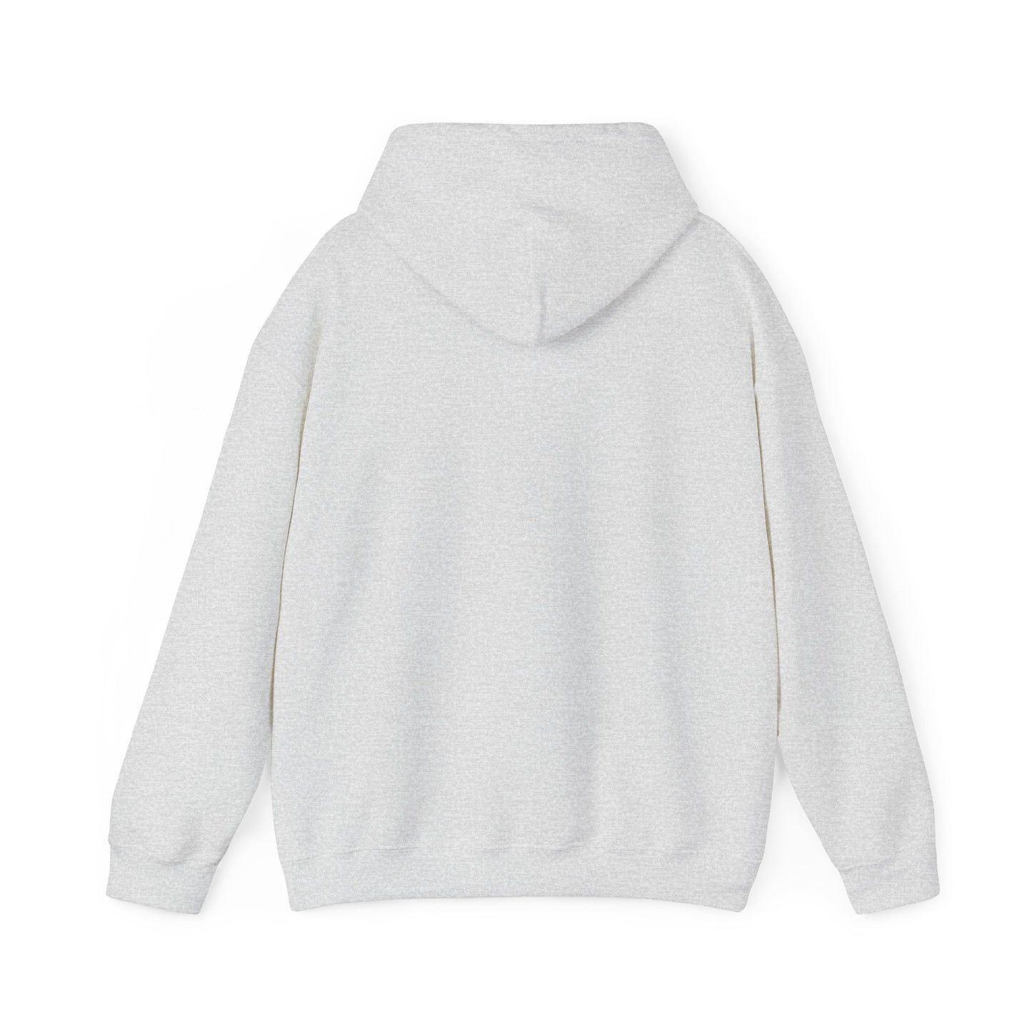 Take America Back 2024 Trump Hoodie
