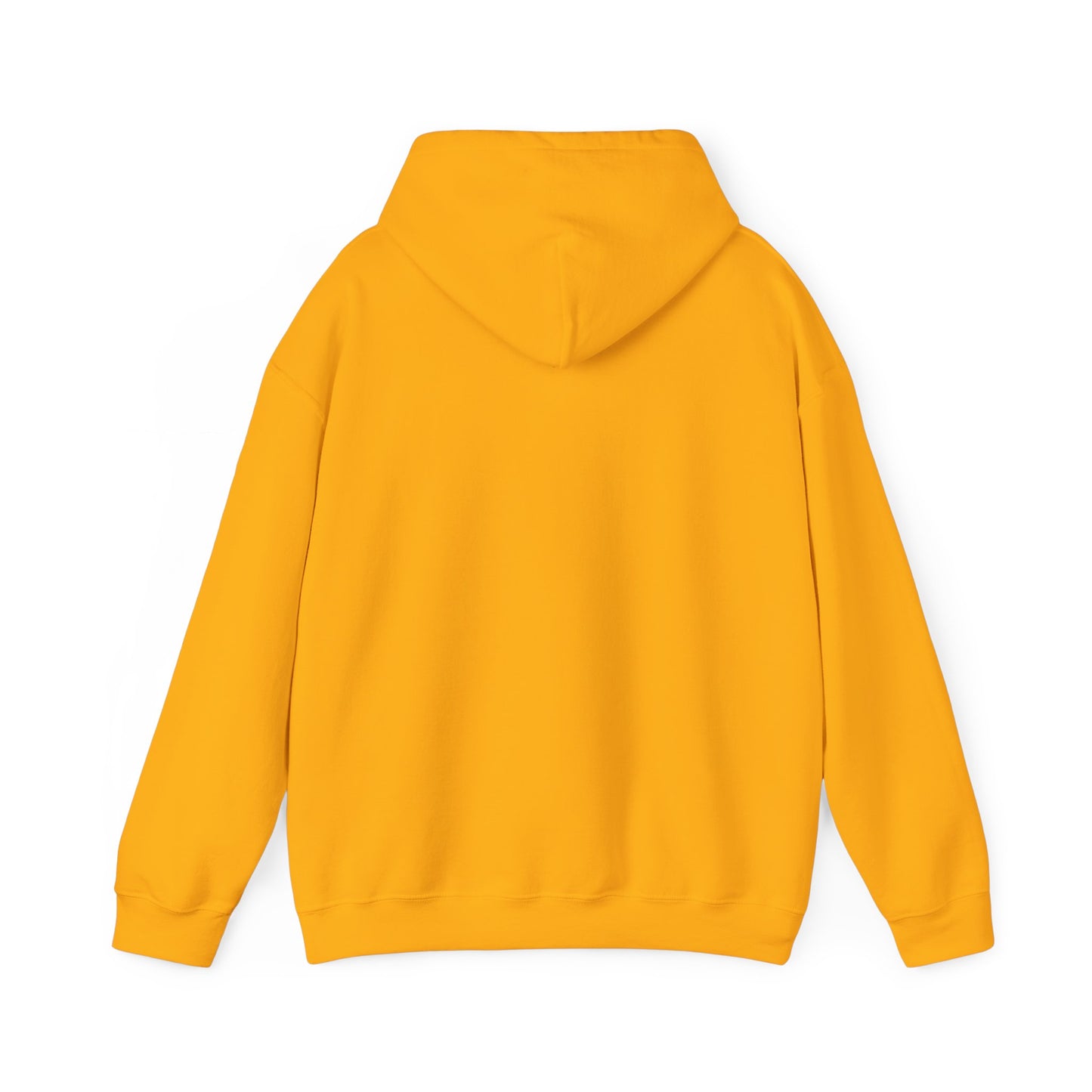 Take America Back 2024 Trump Hooded Sweatshirt