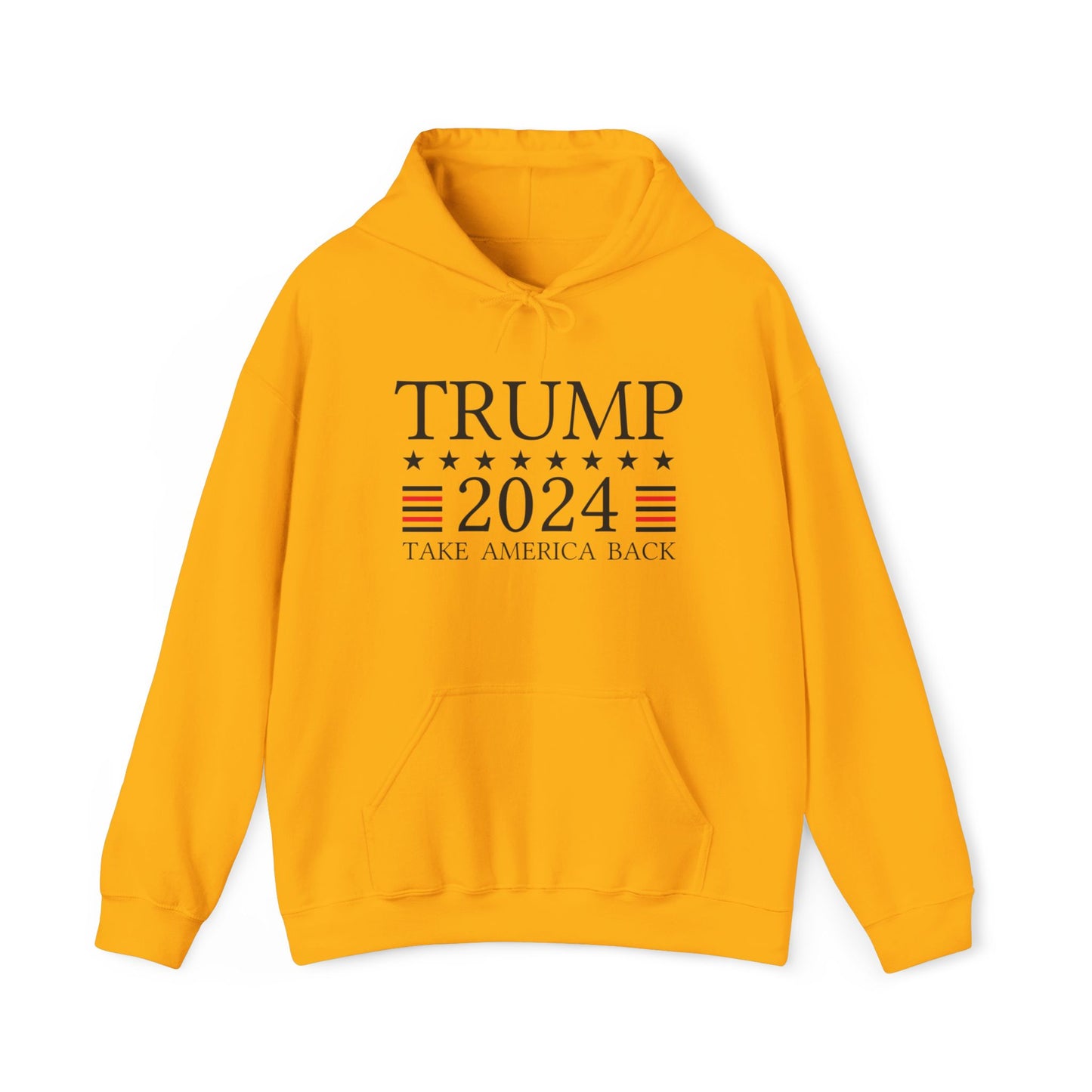 Take America Back 2024 Trump Hoodie