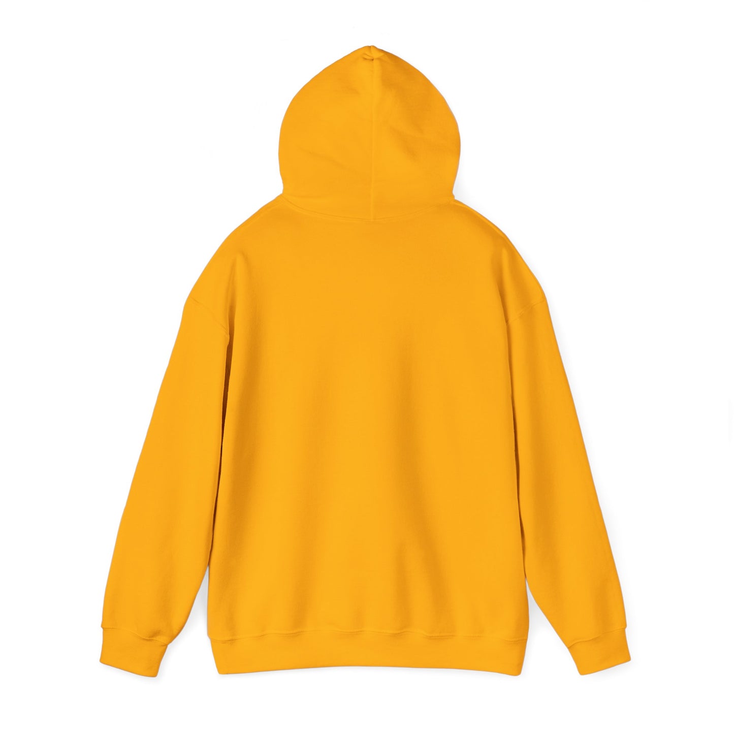 Take America Back 2024 Trump Hoodie