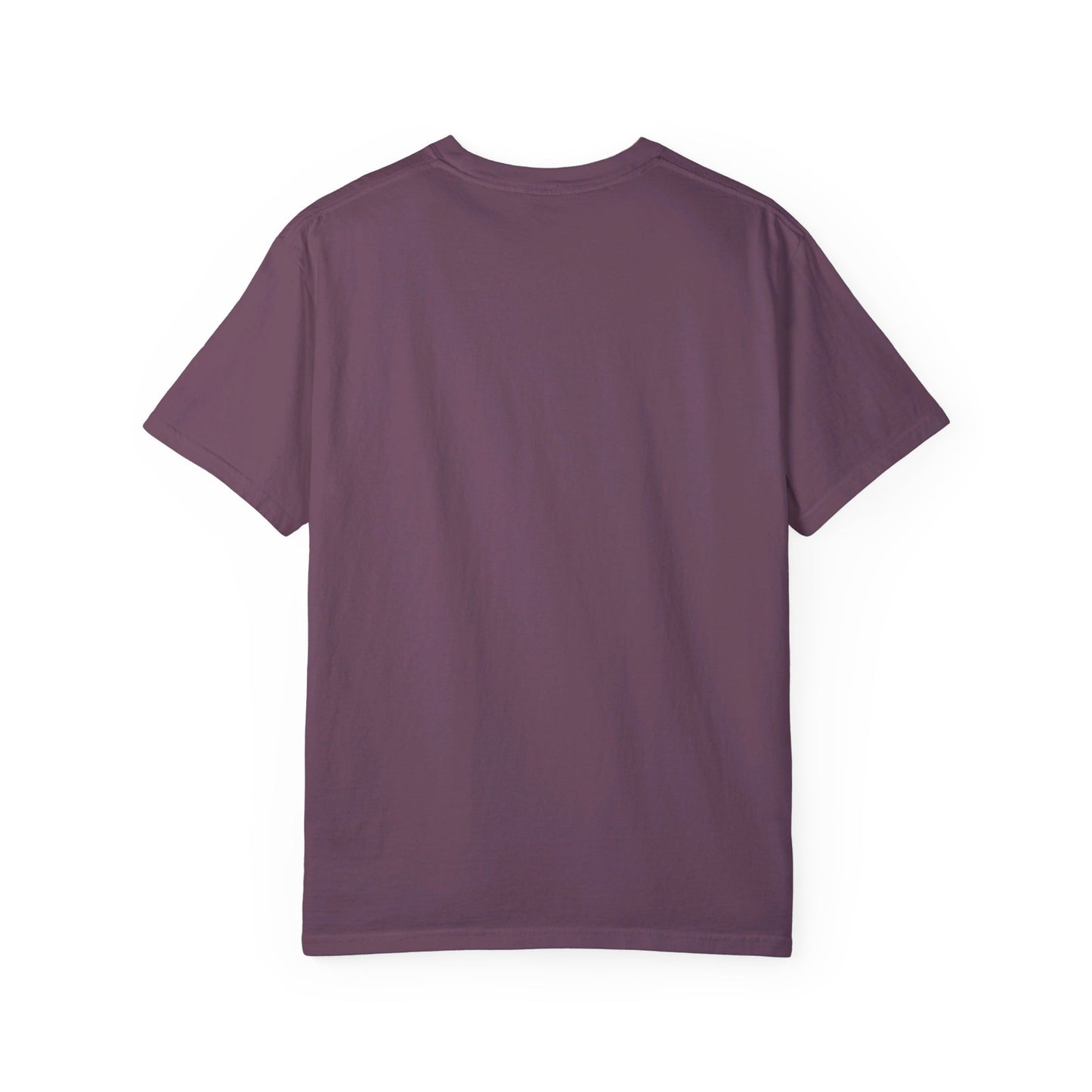Anti-Trump LGBT+ Pride T-Shirt
