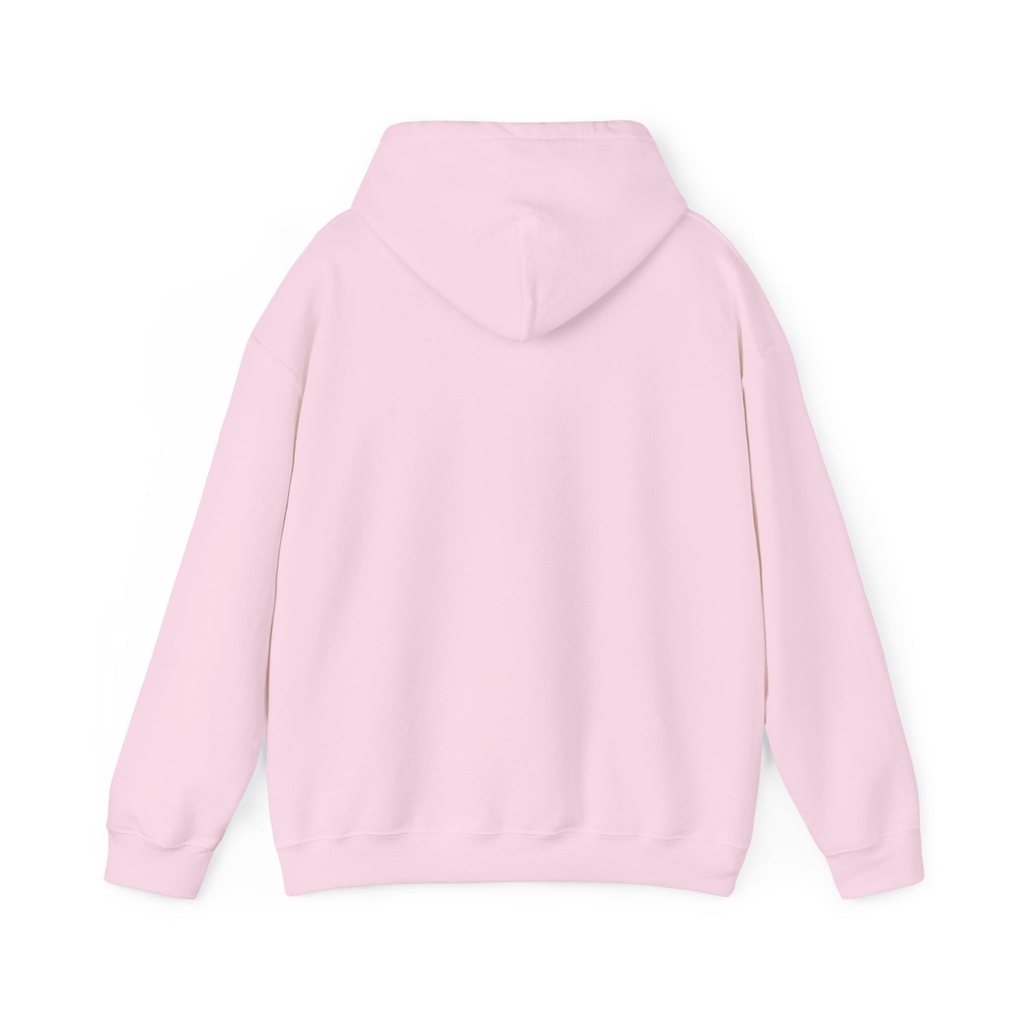 Take America Back 2024 Trump Hoodie