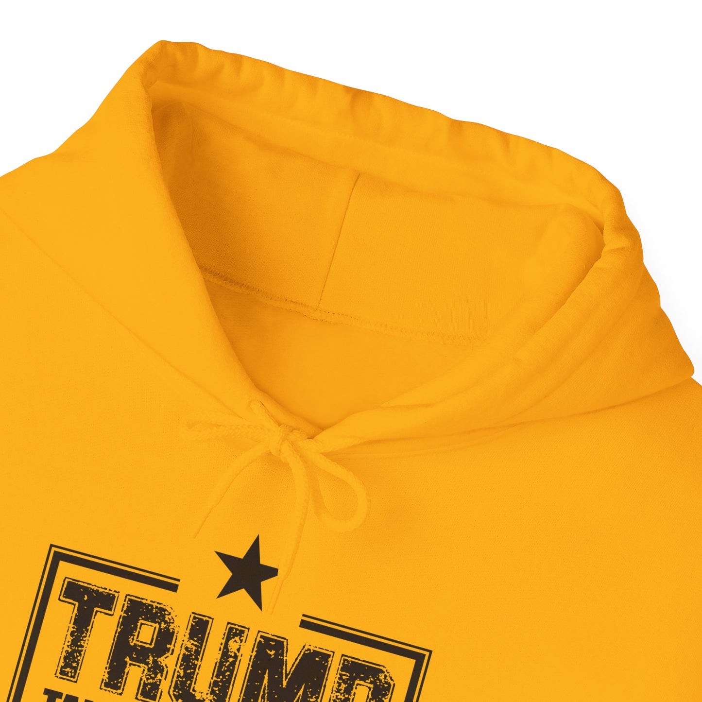 Take America Back 2024 Trump Hooded Sweatshirt