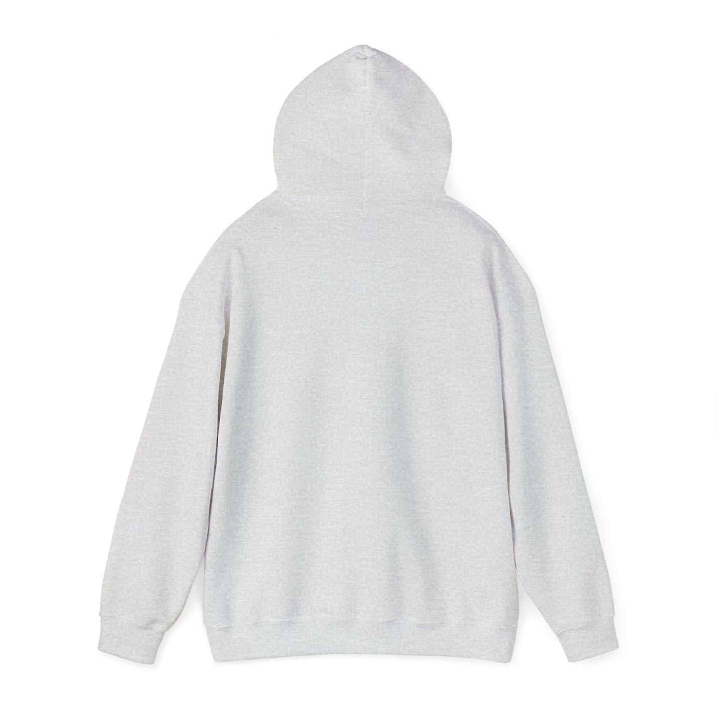 Take America Back 2024 Trump Hoodie