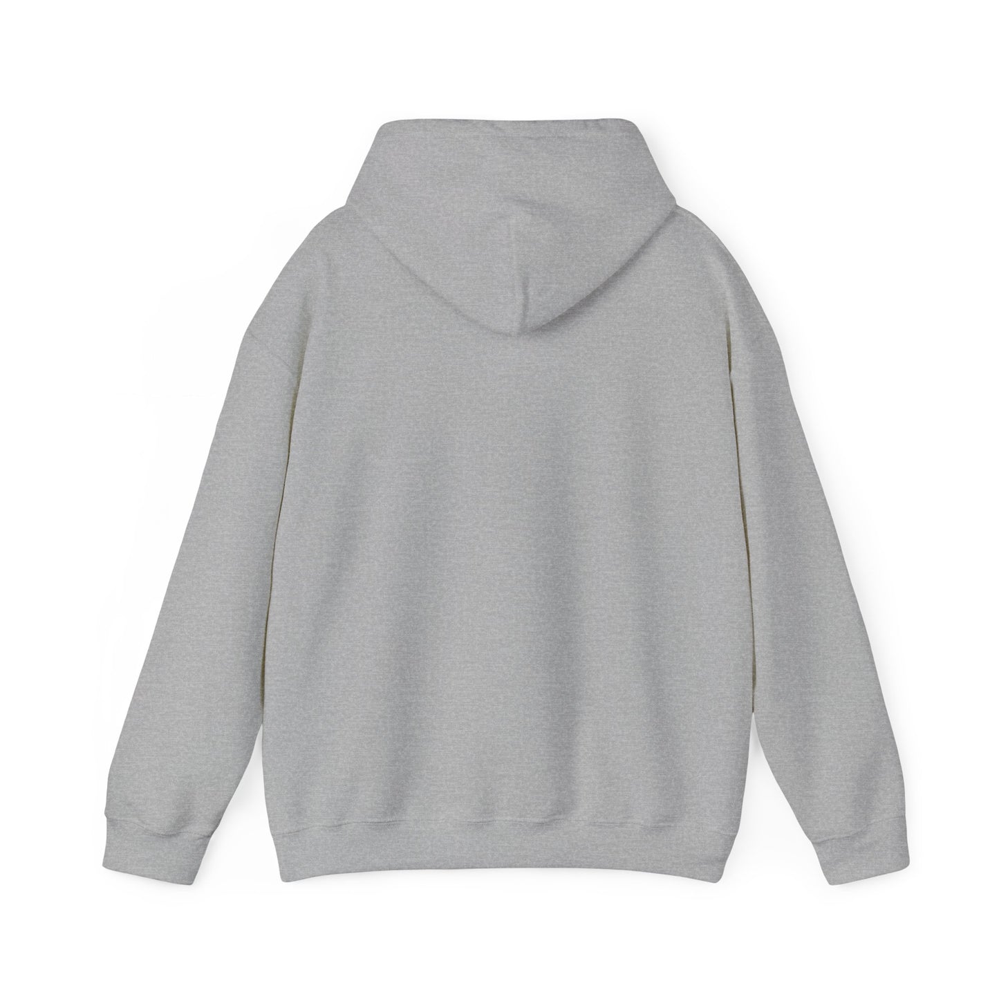 Take America Back 2024 Trump Hoodie