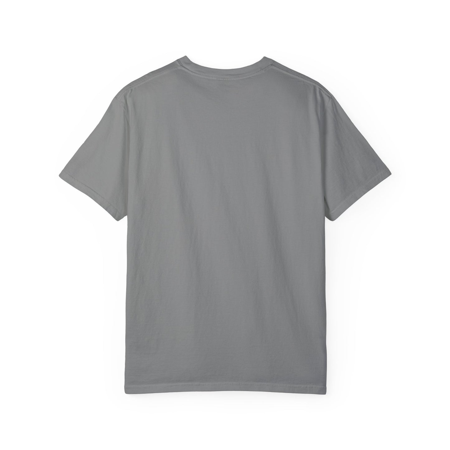Anti-Trump 2024 T-Shirt
