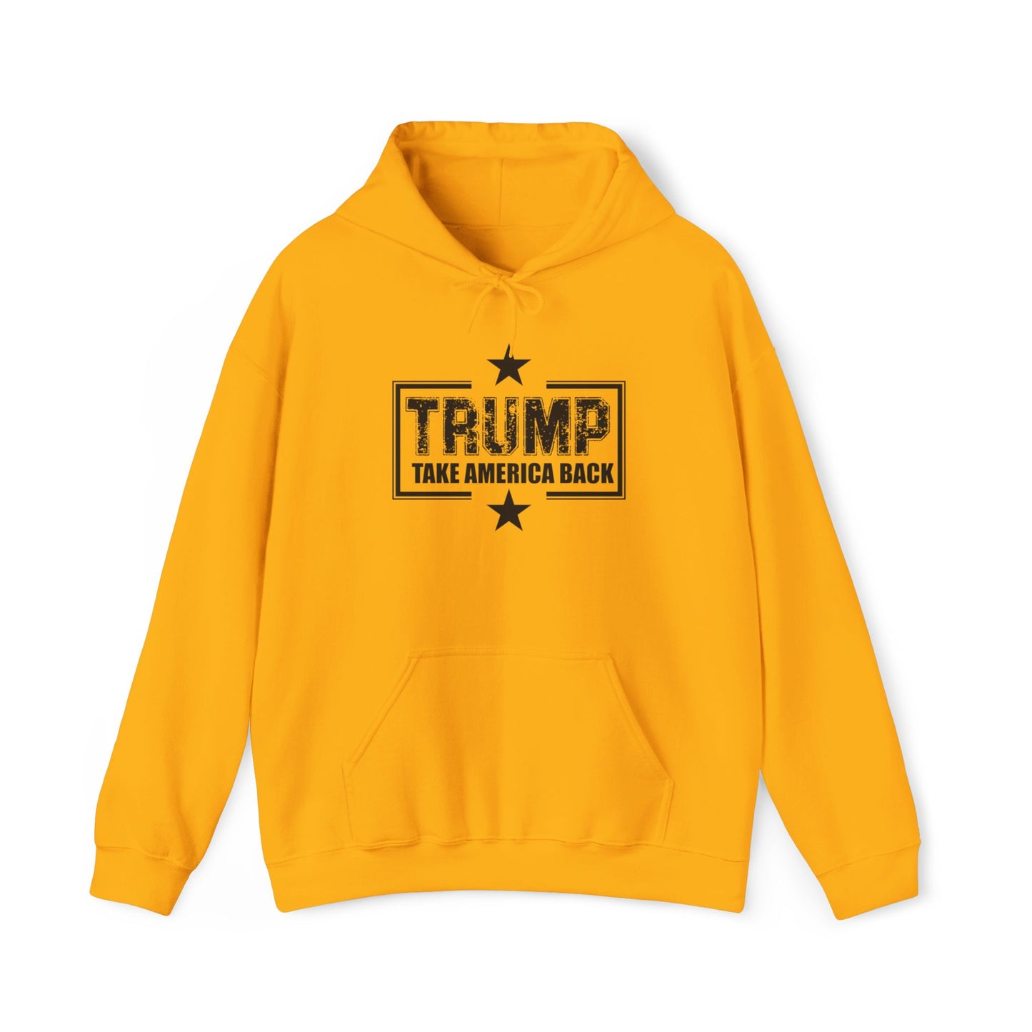 Take America Back 2024 Trump Hooded Sweatshirt
