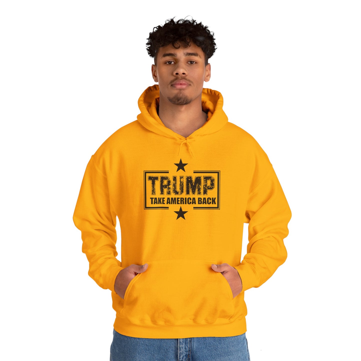 Take America Back 2024 Trump Hooded Sweatshirt