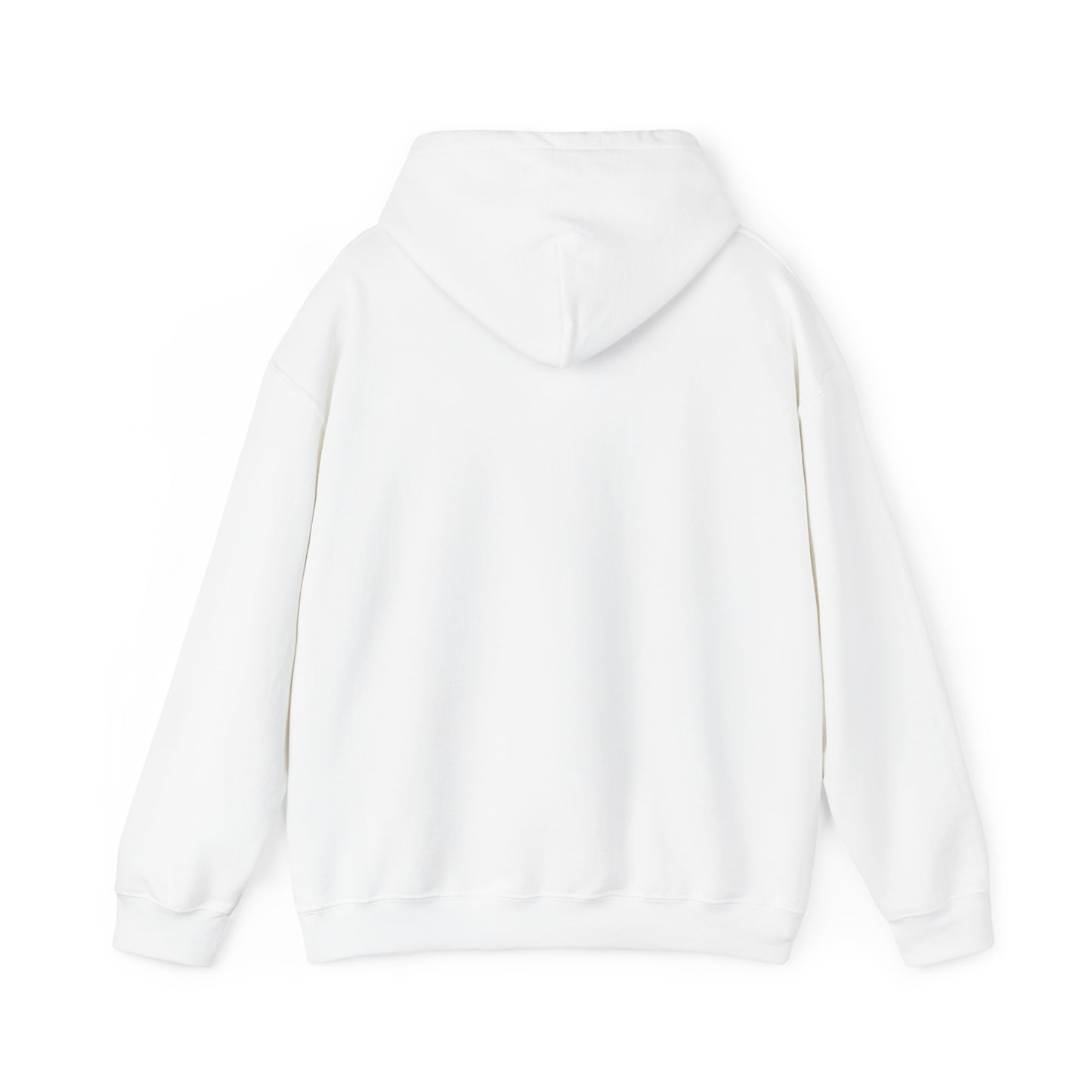 Take America Back 2024 Trump Hoodie