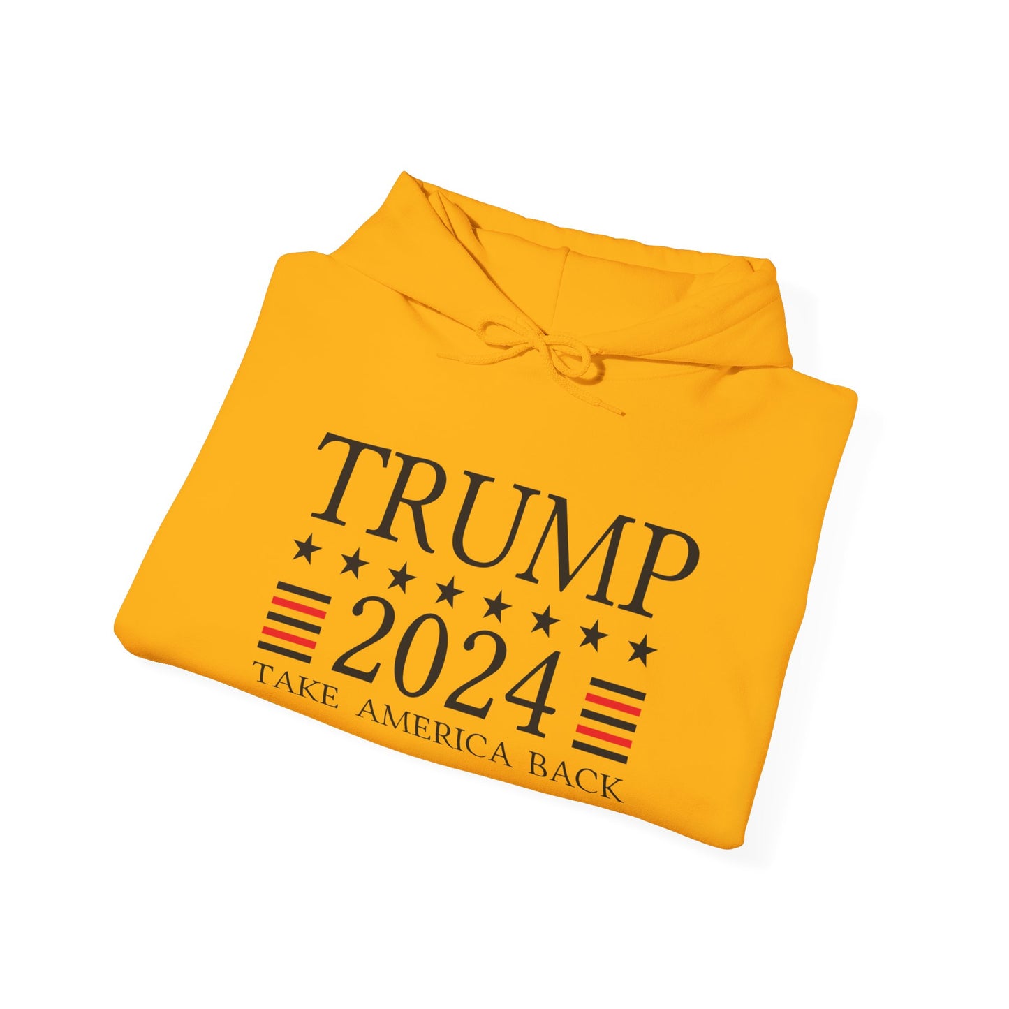 Take America Back 2024 Trump Hoodie