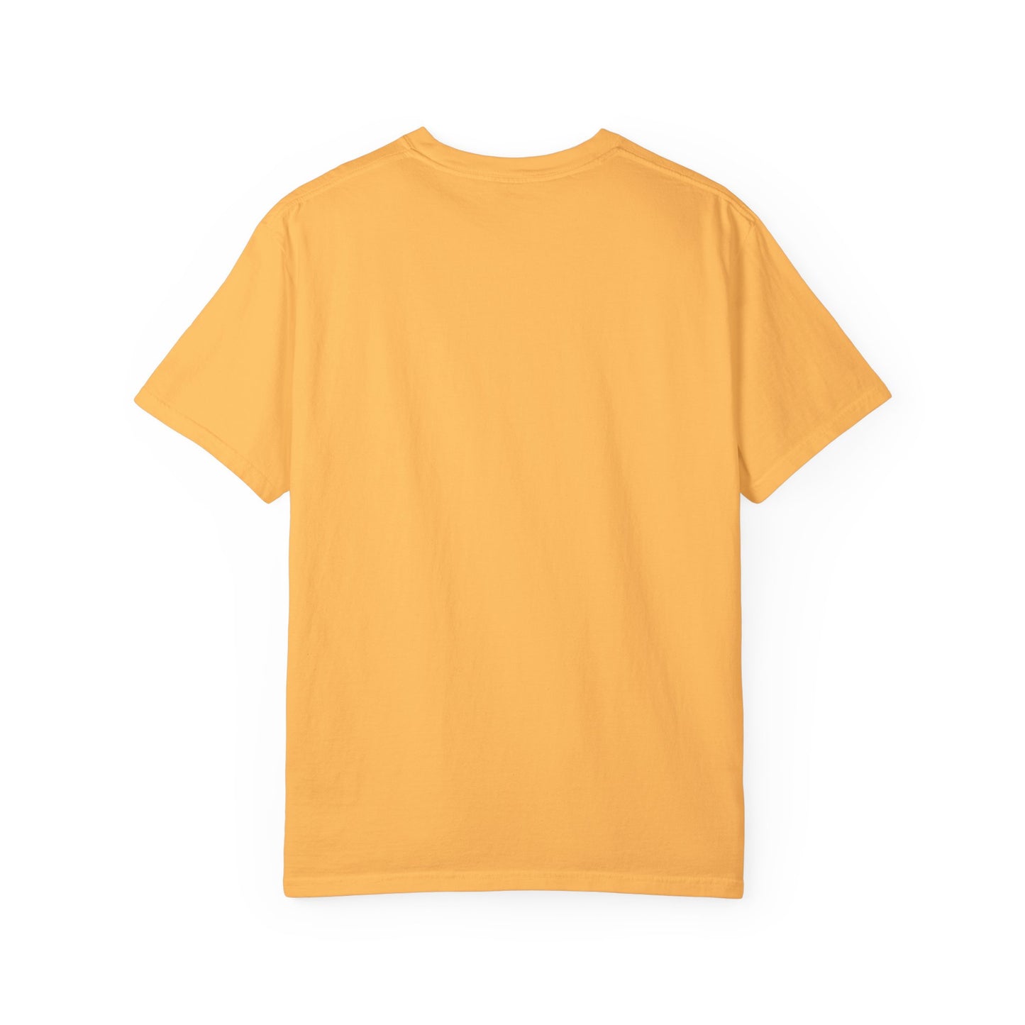 I stand with Trump 2024 T-Shirt