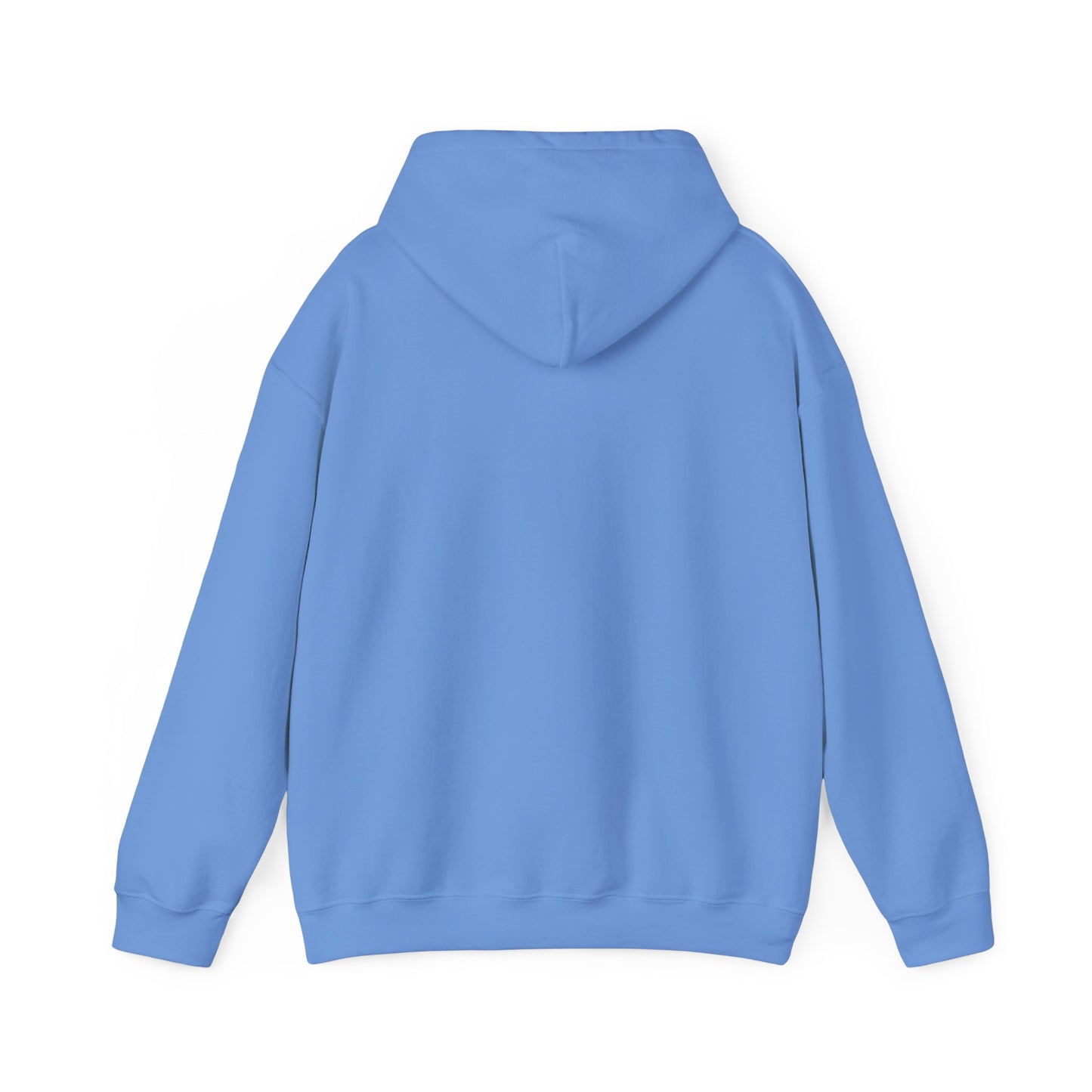 Take America Back 2024 Trump Hoodie