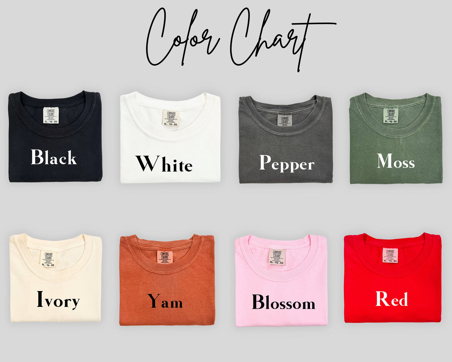 "2024 Pro-Trump Comfort Colors® Election Shirt"