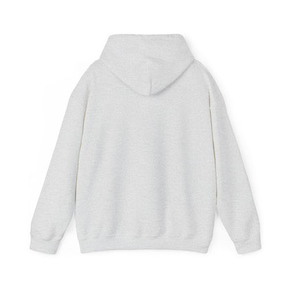 Take America Back 2024 Trump Hoodie