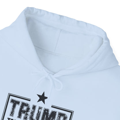 Take America Back 2024 Trump Hooded Sweatshirt