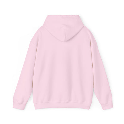 Take America Back 2024 Trump Hoodie