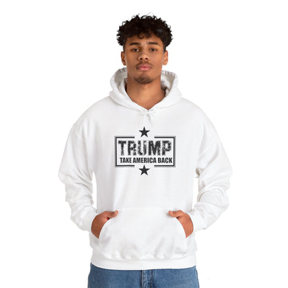 Take America Back 2024 Trump Hooded Sweatshirt