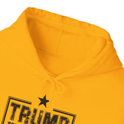 Take America Back 2024 Trump Hooded Sweatshirt