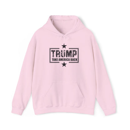 Take America Back 2024 Trump Hooded Sweatshirt