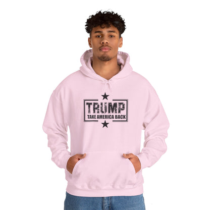 Take America Back 2024 Trump Hooded Sweatshirt