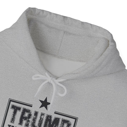 Take America Back 2024 Trump Hooded Sweatshirt