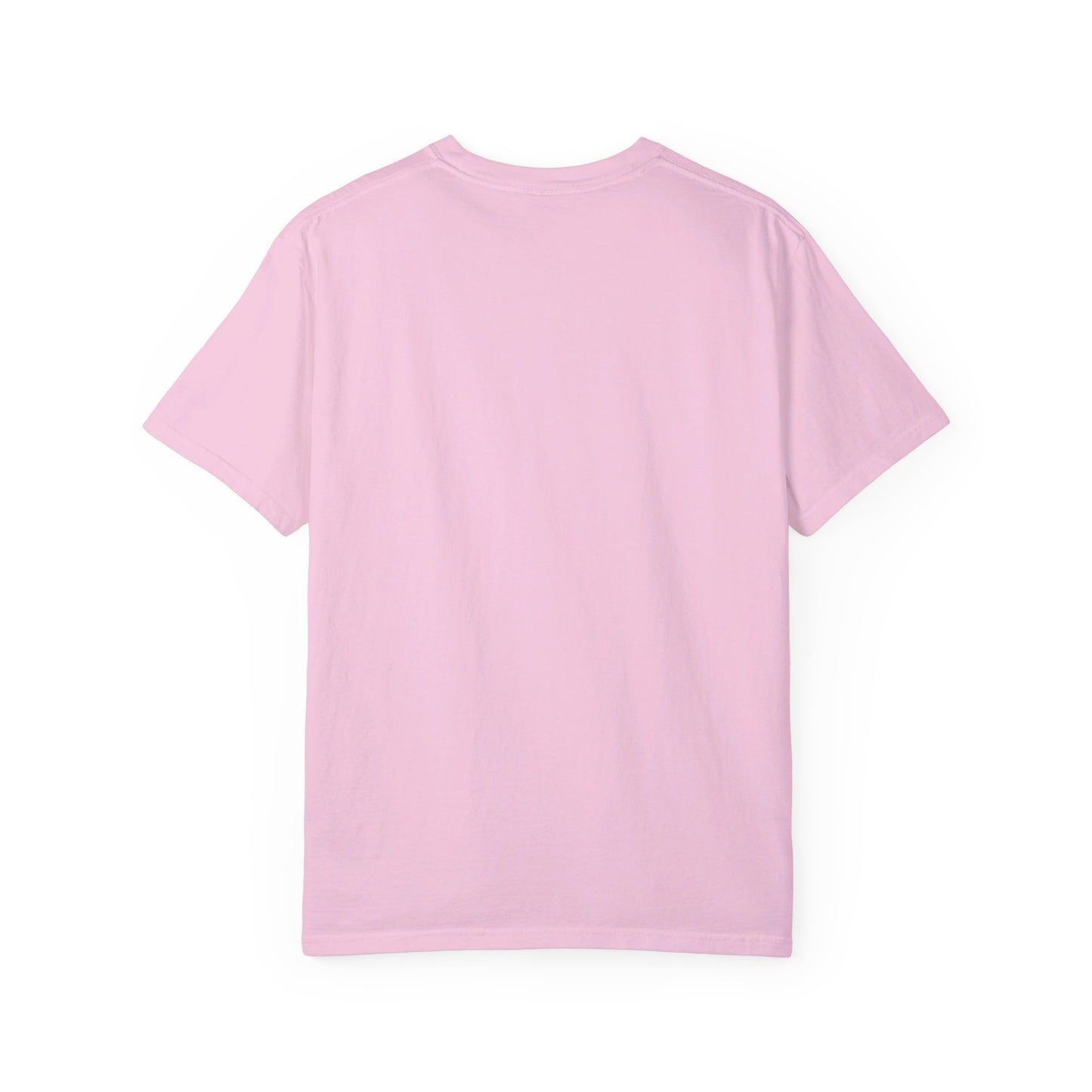 Anti-Trump LGBT+ Pride T-Shirt